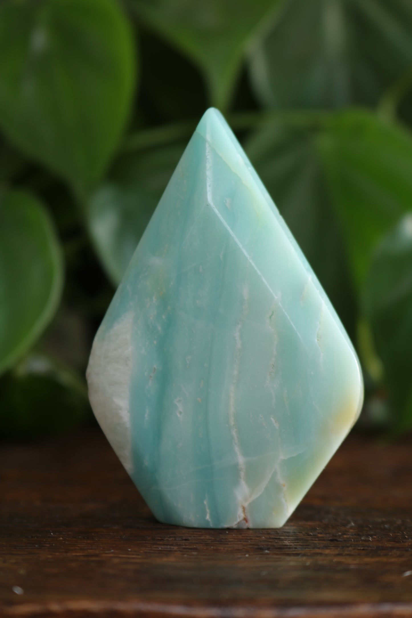 Caribbean Calcite Flipper