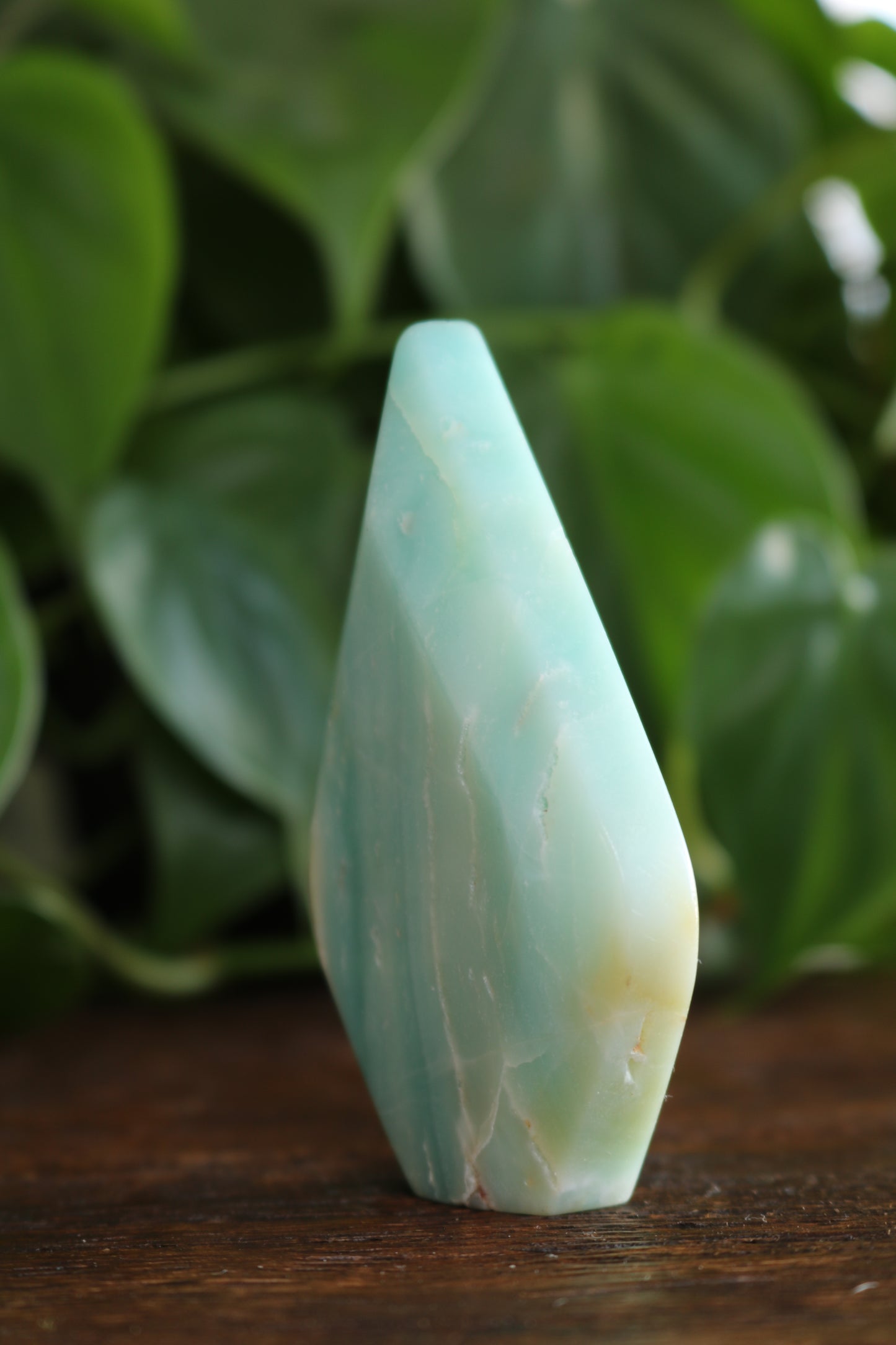 Caribbean Calcite Flipper