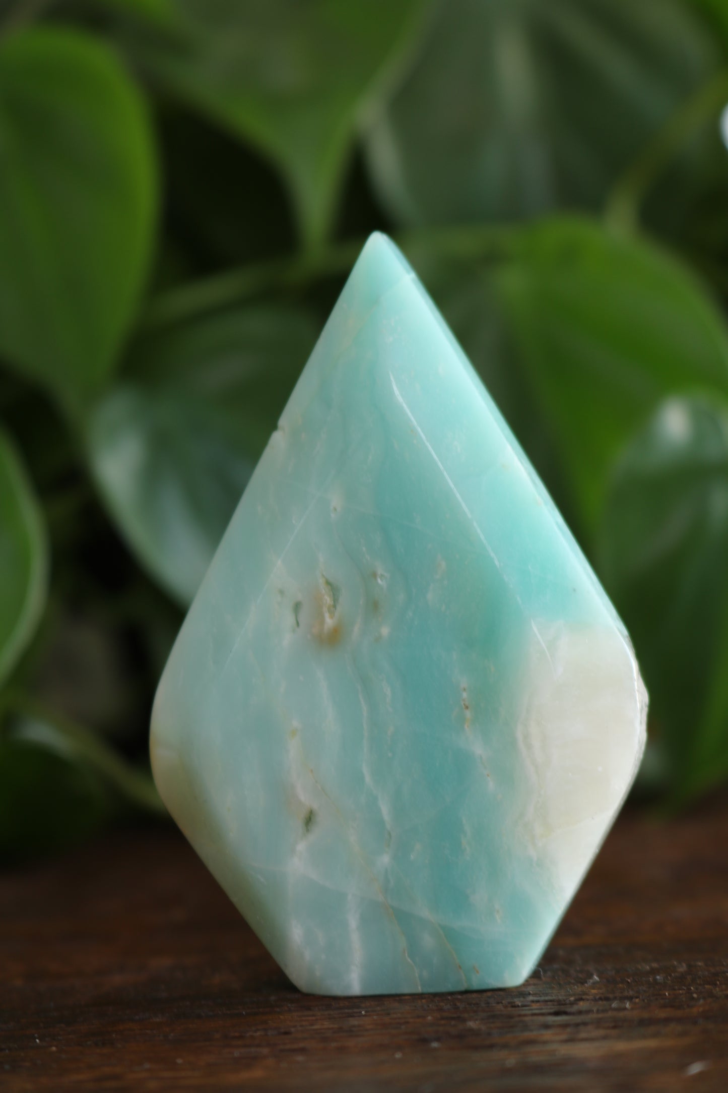 Caribbean Calcite Flipper