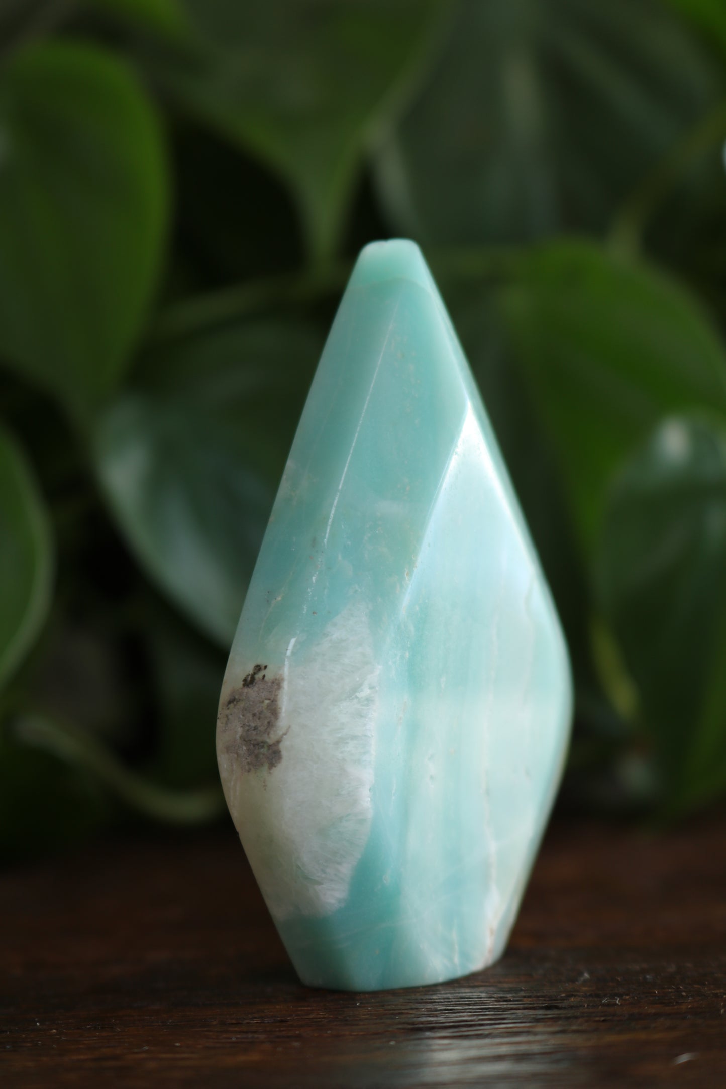 Caribbean Calcite Flipper