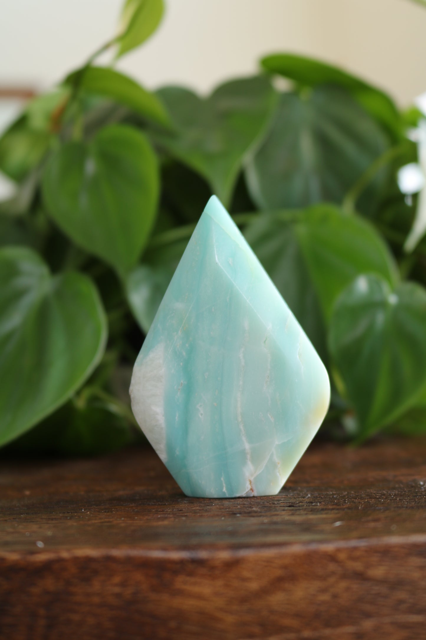 Caribbean Calcite Flipper