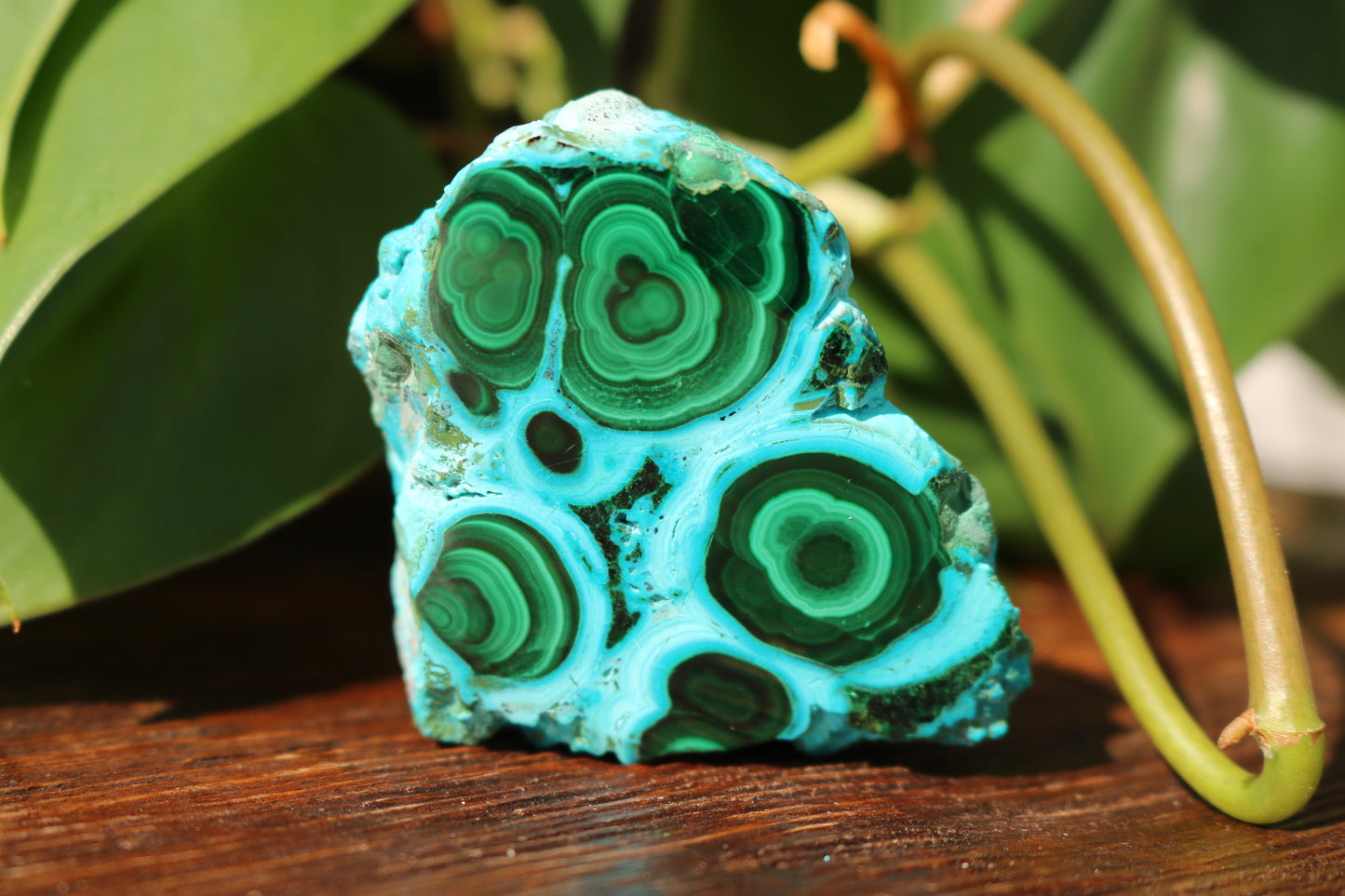 Chrysocolla & Malachite Polished Specimen
