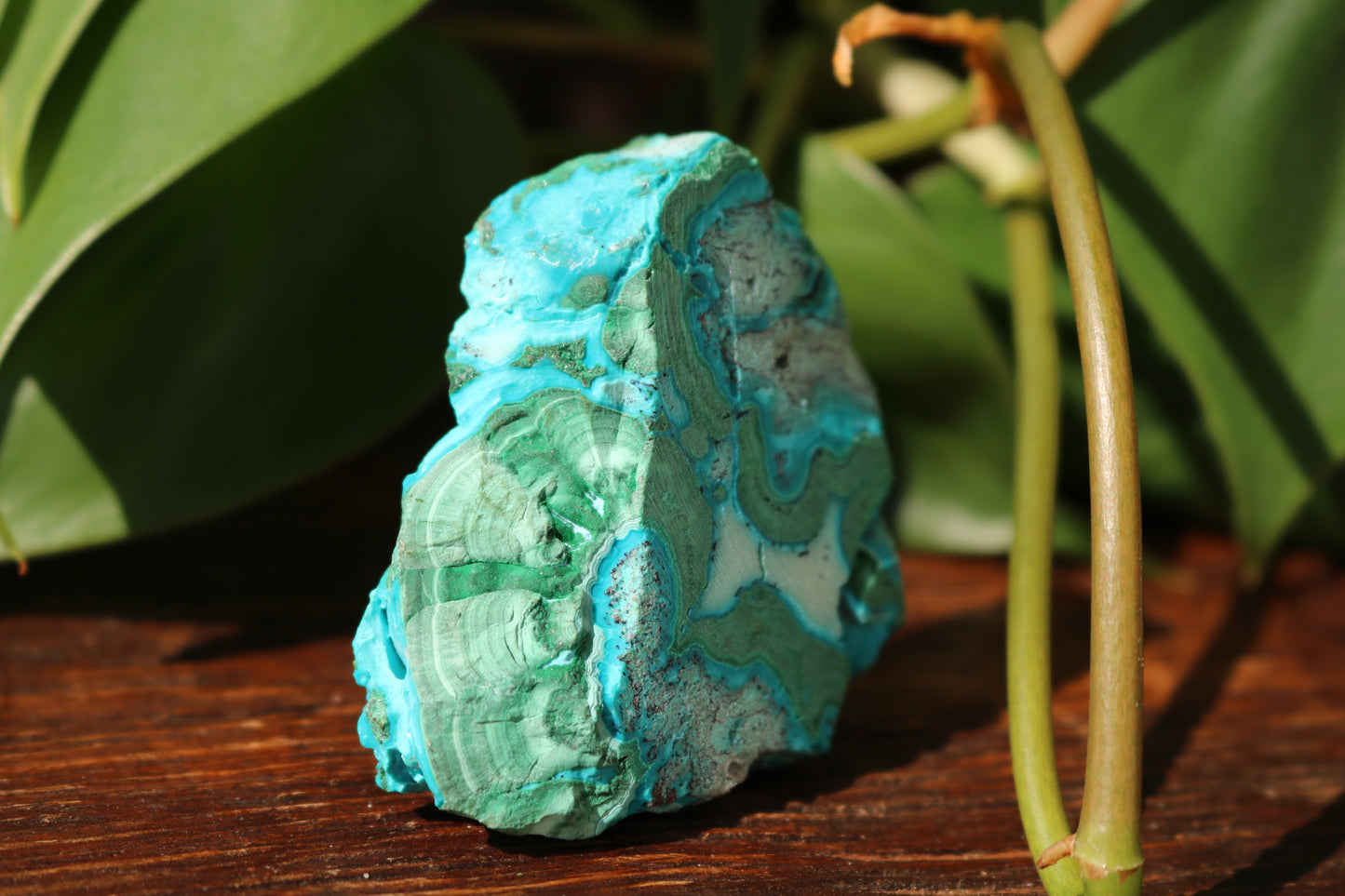 Chrysocolla & Malachite Polished Specimen