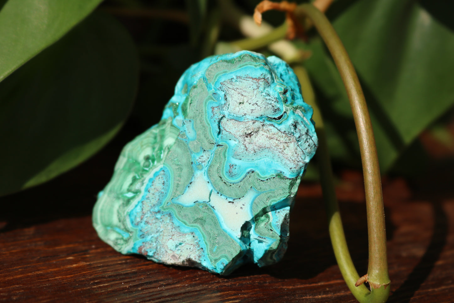 Chrysocolla & Malachite Polished Specimen
