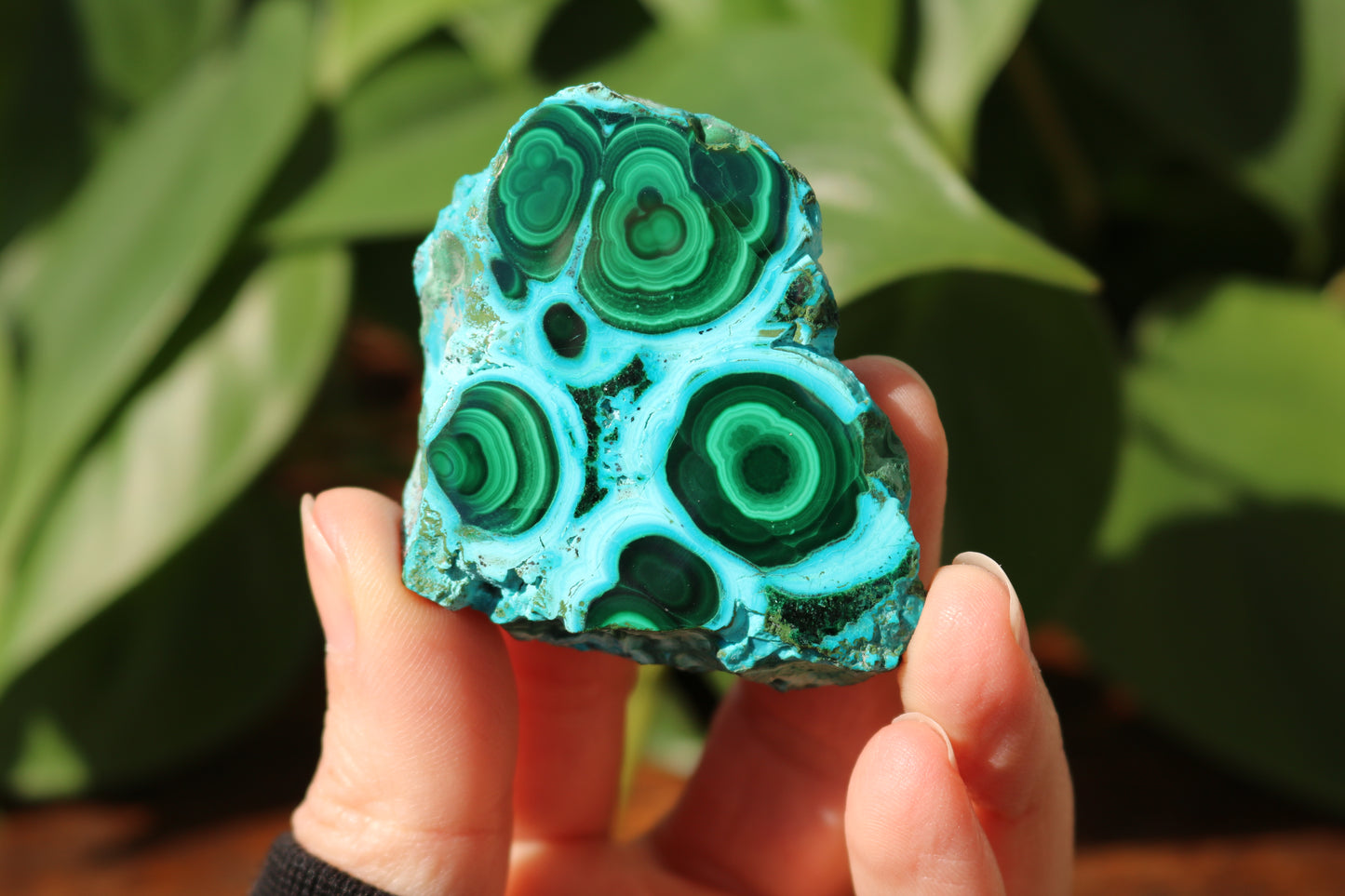 Chrysocolla & Malachite Polished Specimen