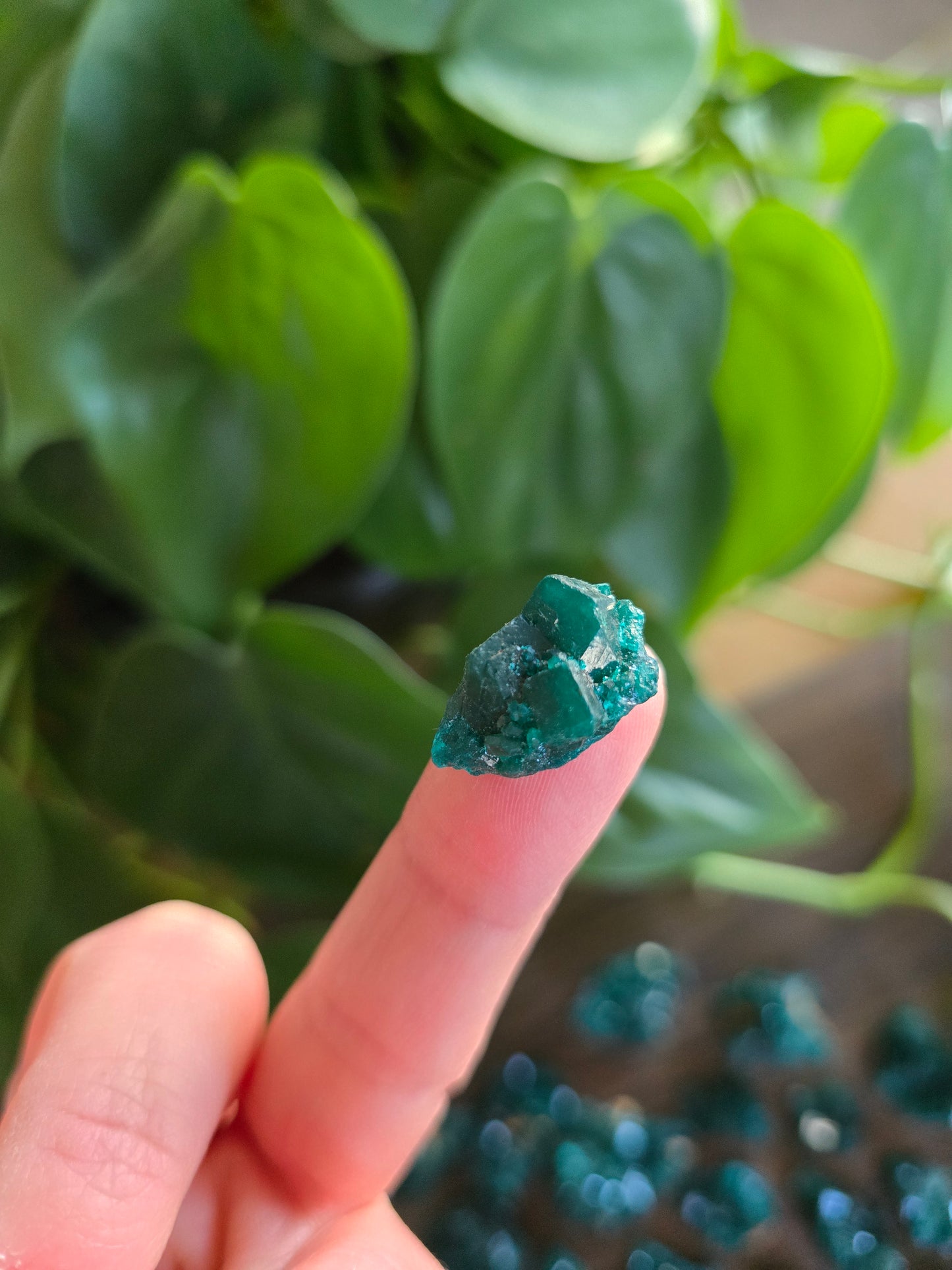 Dioptase Rough Specimen - Congo (9)