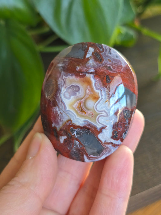 Red Mexican Crazy Lace Agate Palm Stone