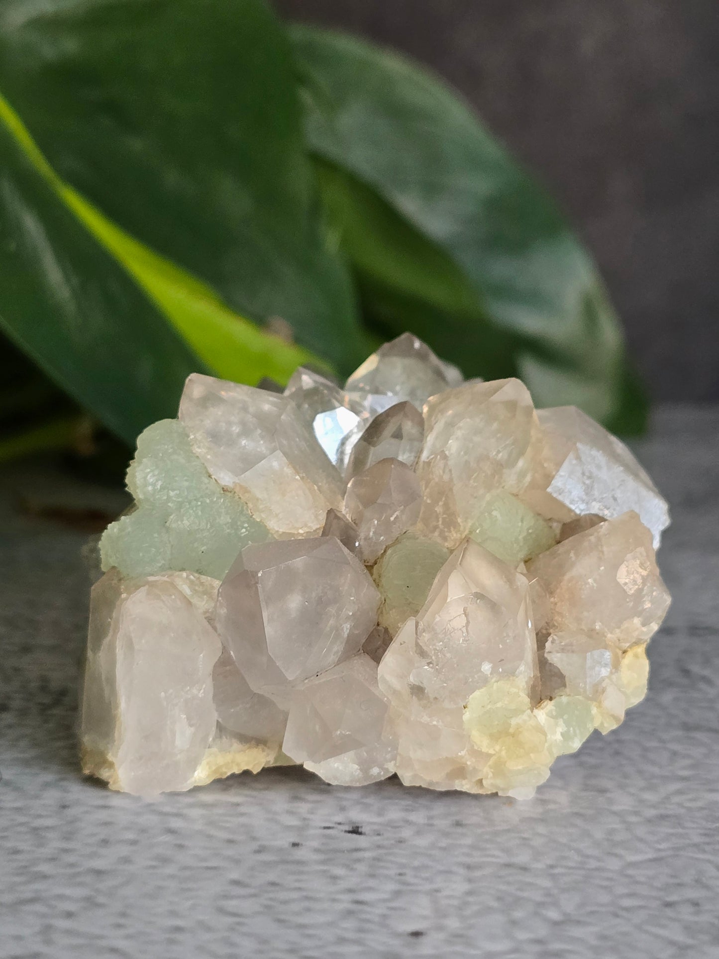 Prehnite and Epidote on Quartz Matrix