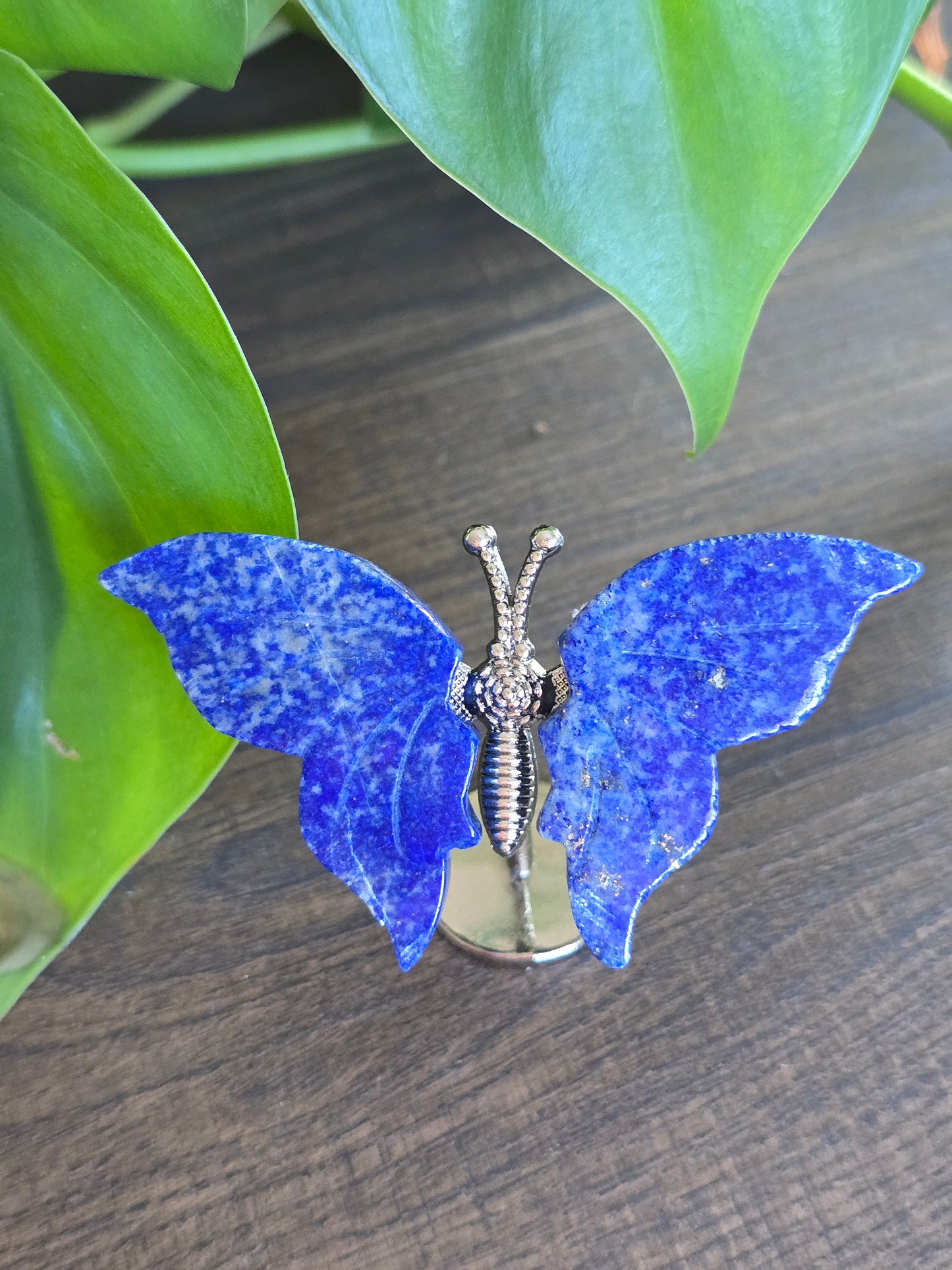 Lapis Lazuli Butterfly Wings