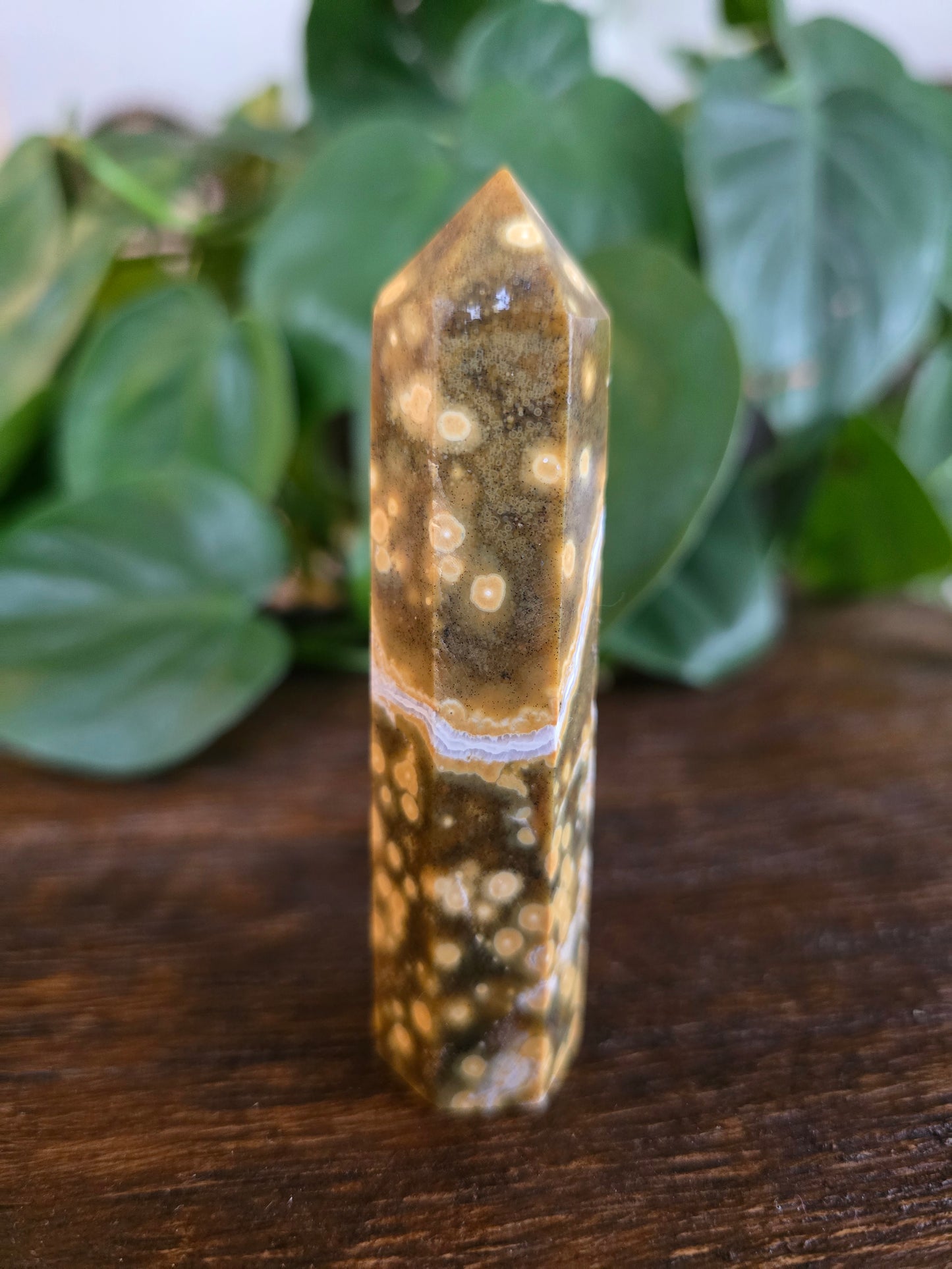 Ocean Jasper Tower "F"