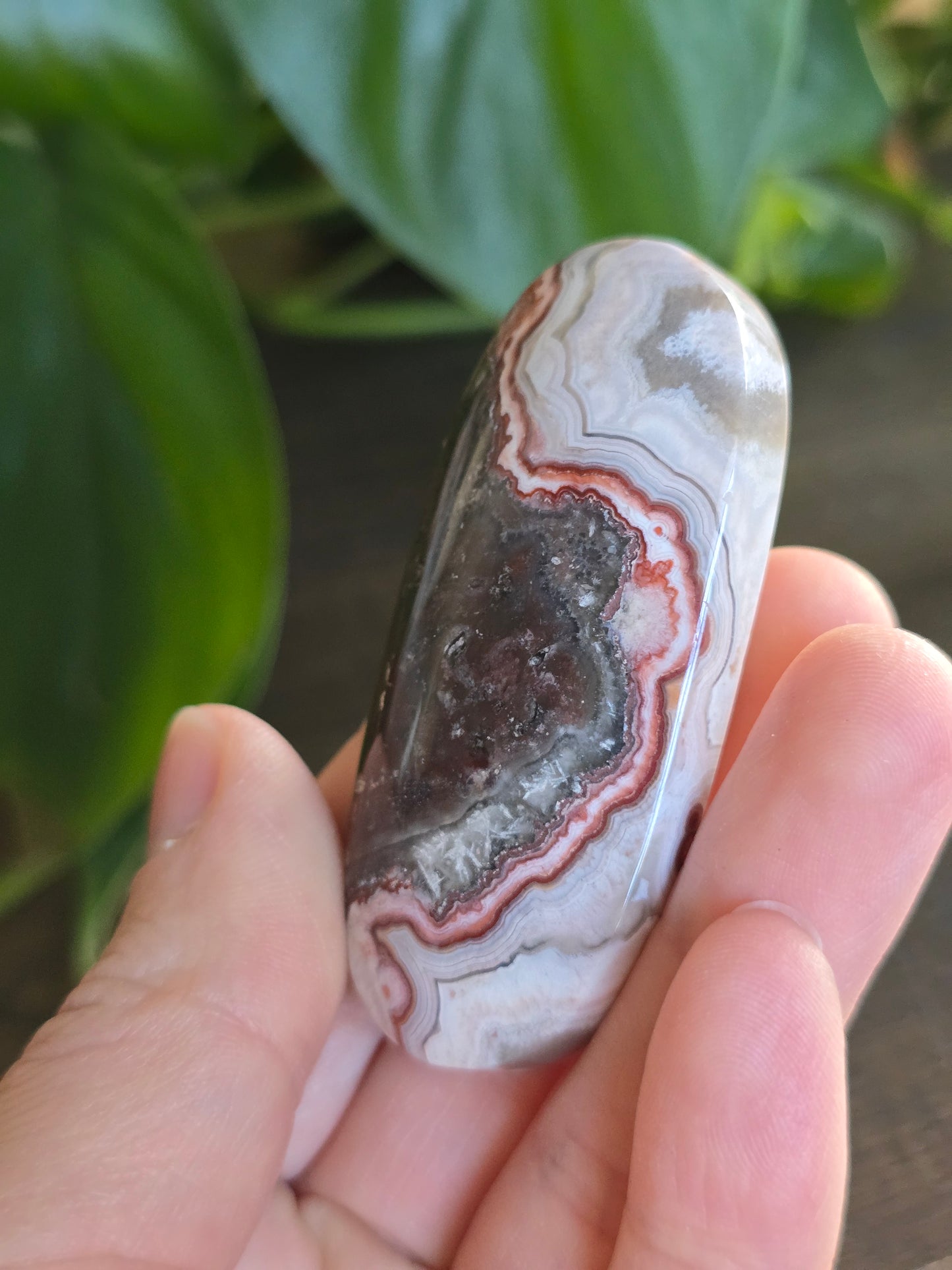 Red Mexican Crazy Lace Agate Palm Stone