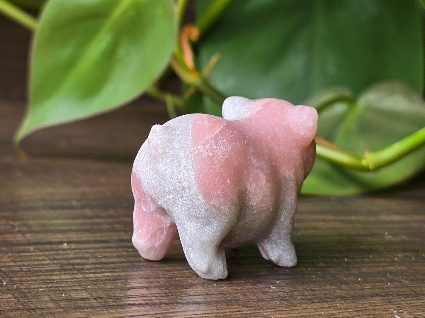 Pink Opal Pig