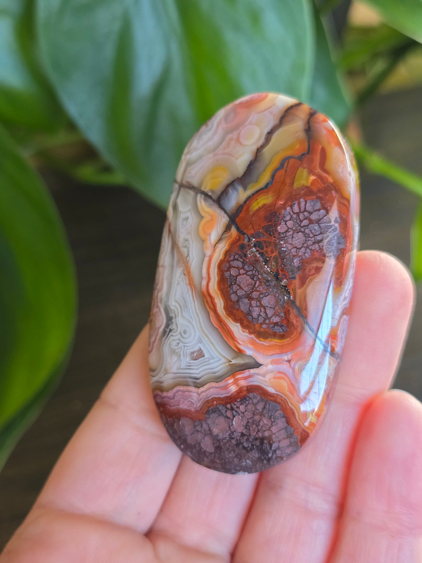 Red Mexican Crazy Lace Agate Palm Stone