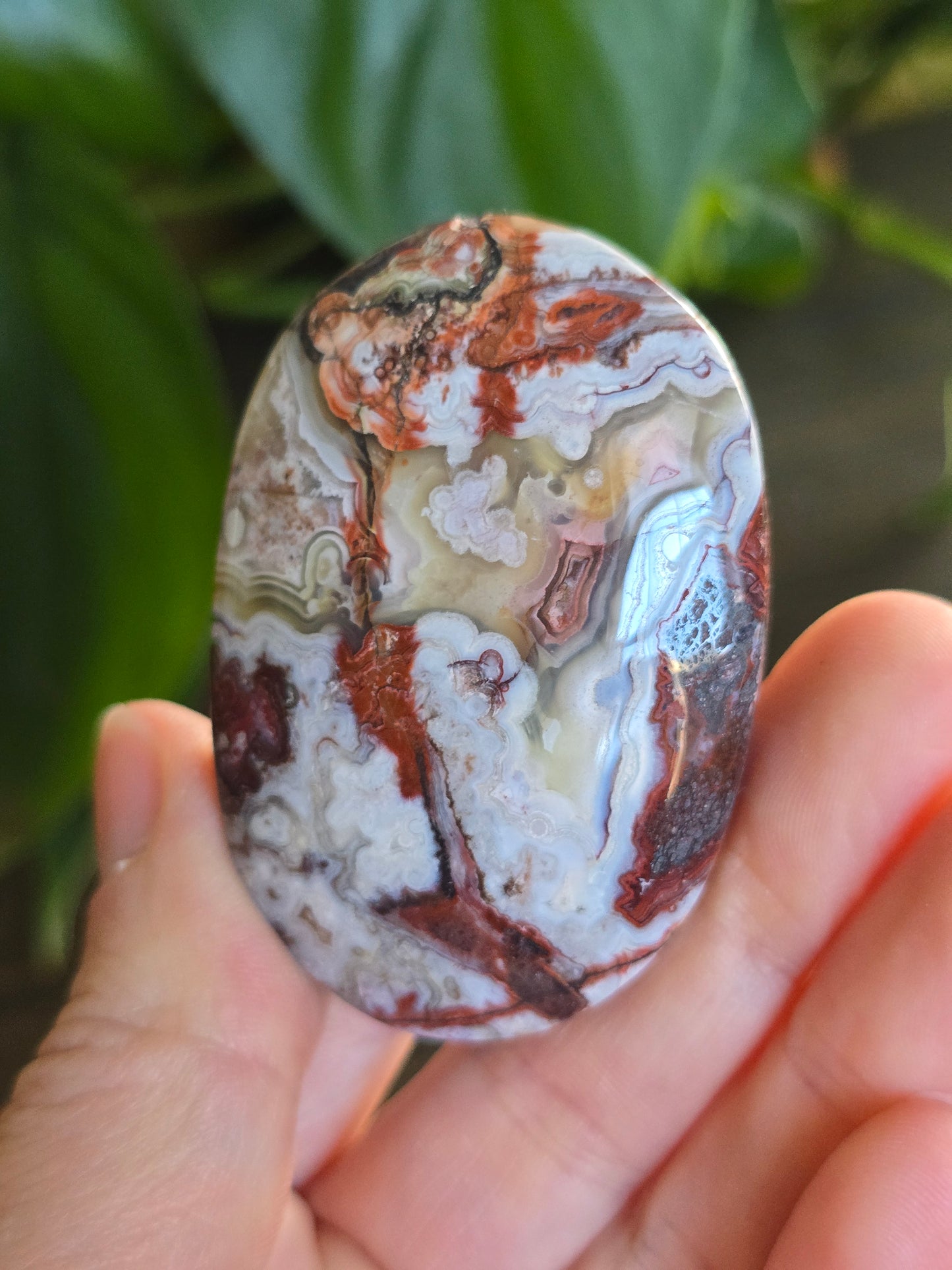 Red Mexican Crazy Lace Agate Palm Stone