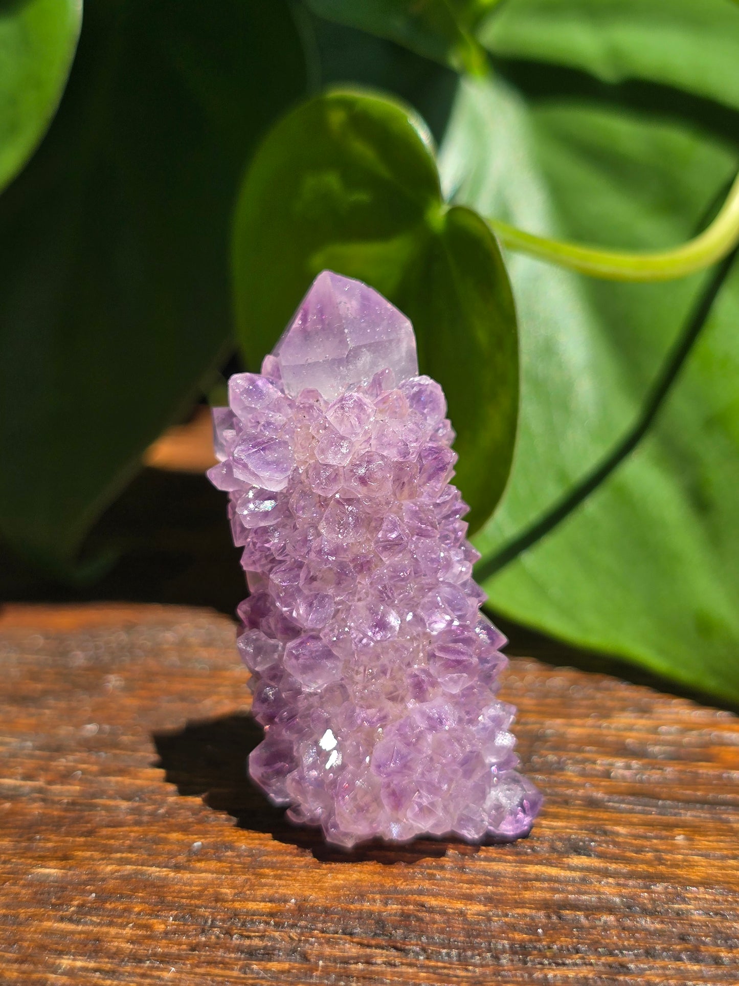 Amethyst Spirit Cactus Quartz Crystal Specimen "G"