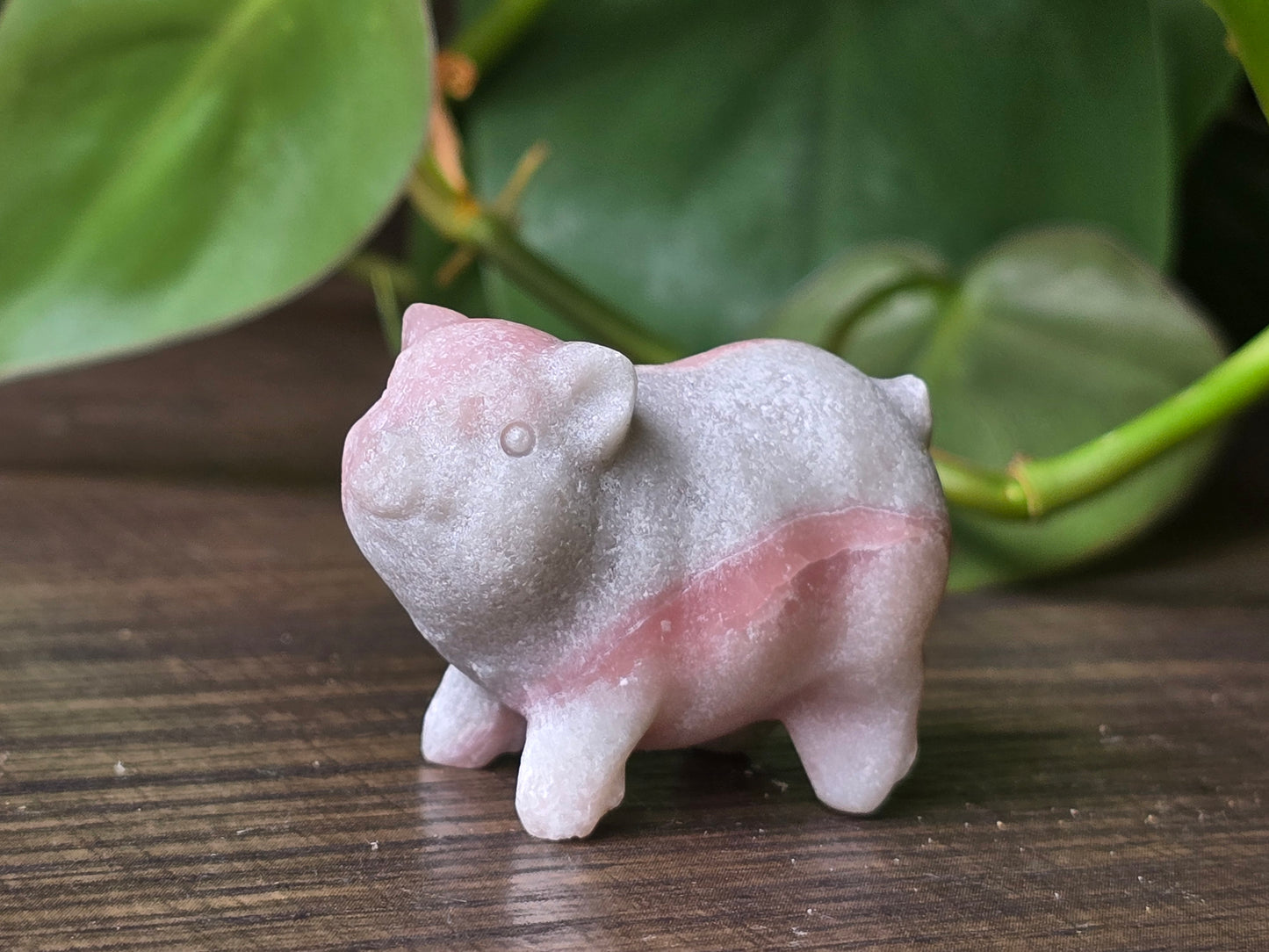 Pink Opal Pig