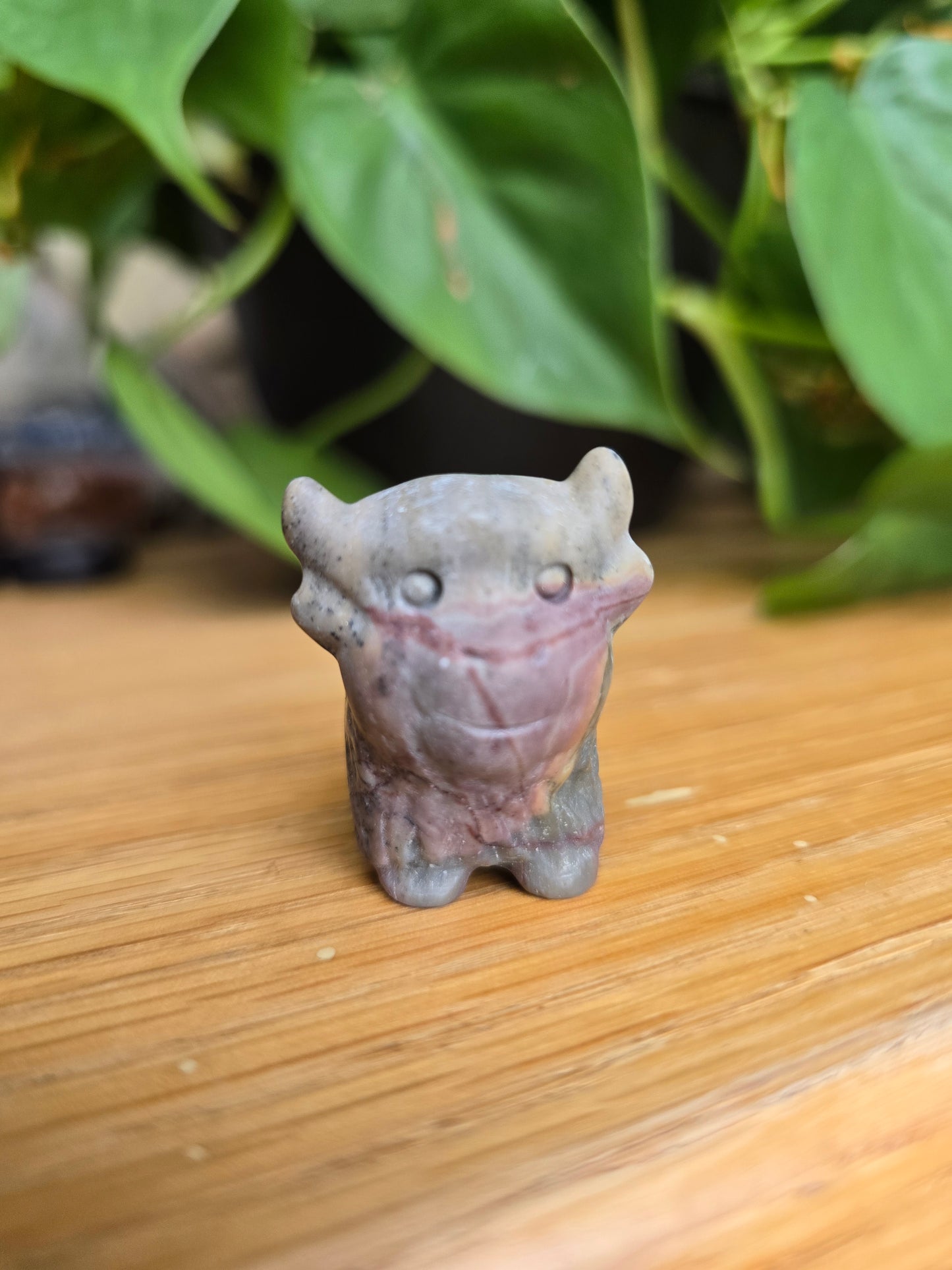 Picture Jasper Cow (Random Selection)