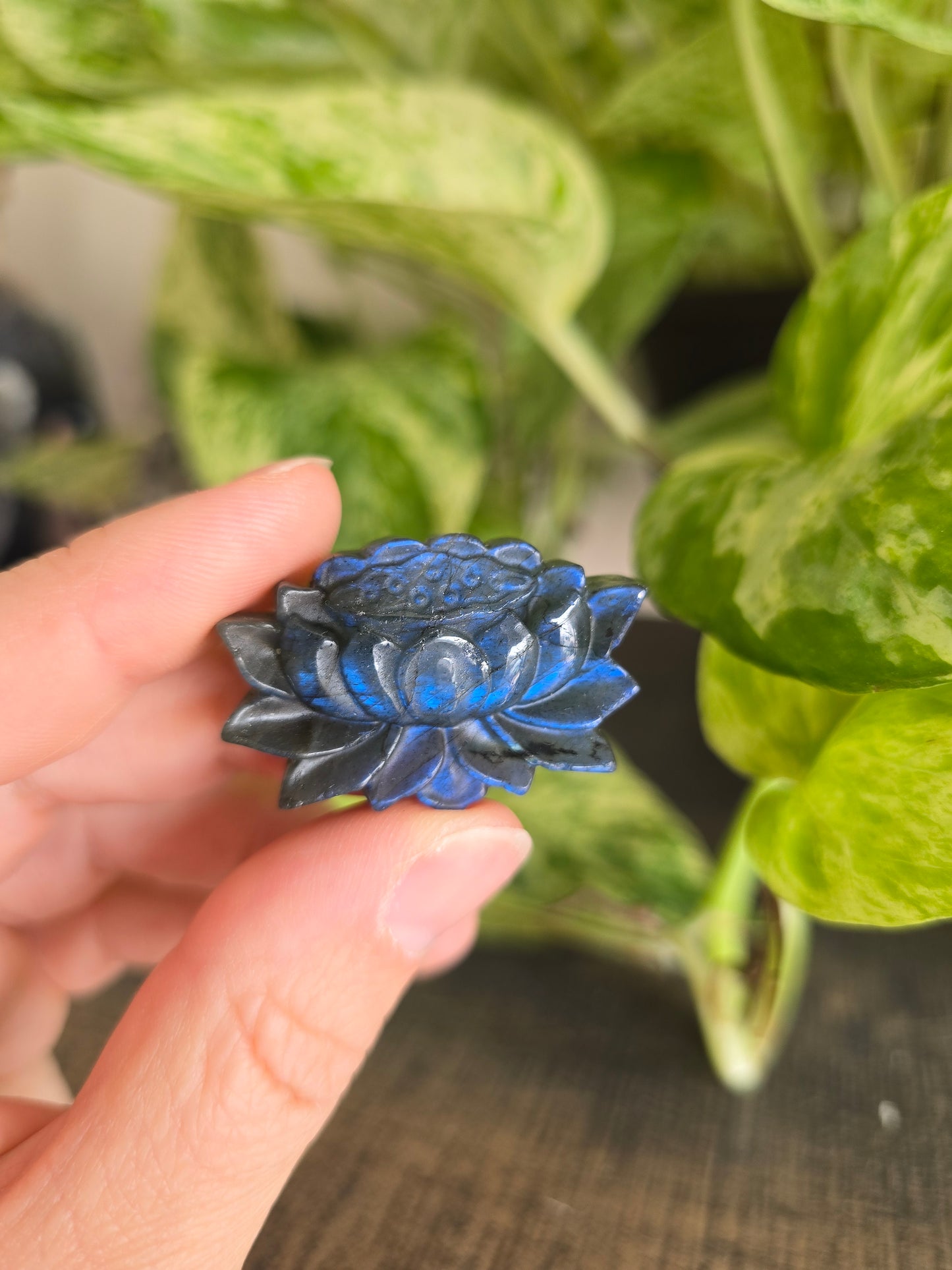 Labradorite Lotus Carving