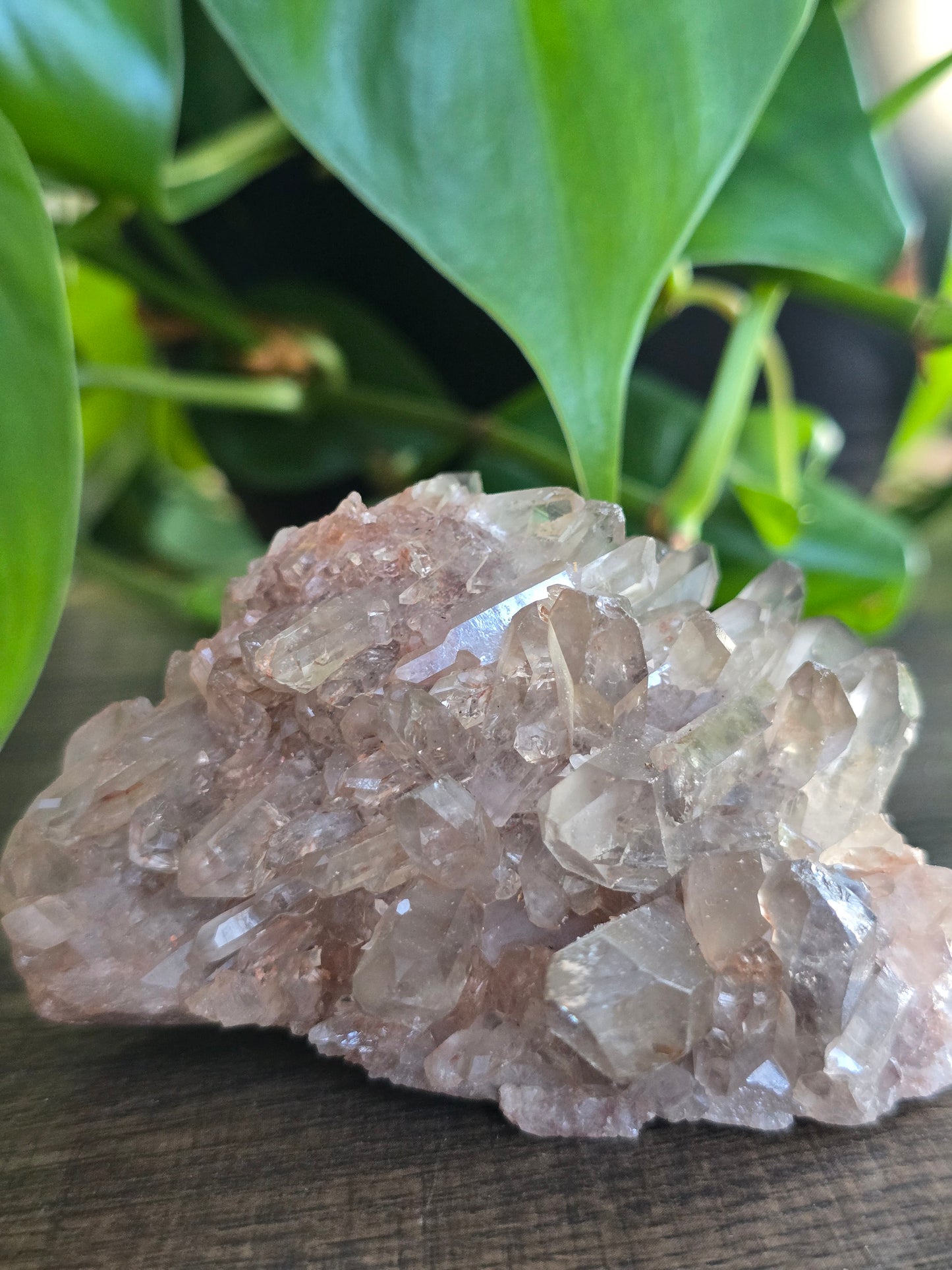 Smoky Quartz Cluster