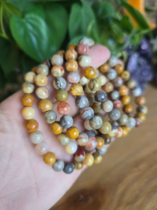 Crazy Lace Agate Stretch Bracelet