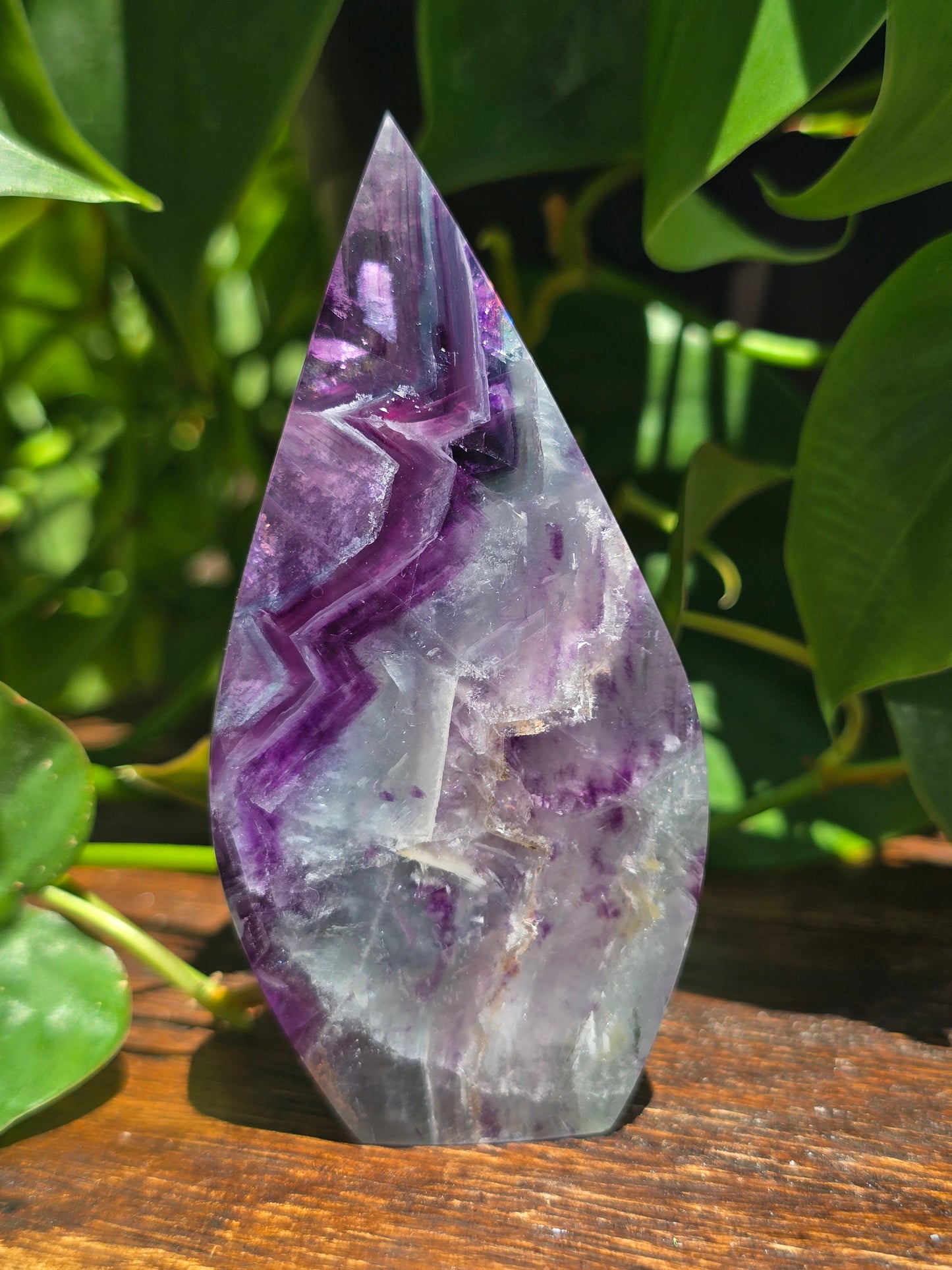 Rainbow Fluorite Flipper "D"