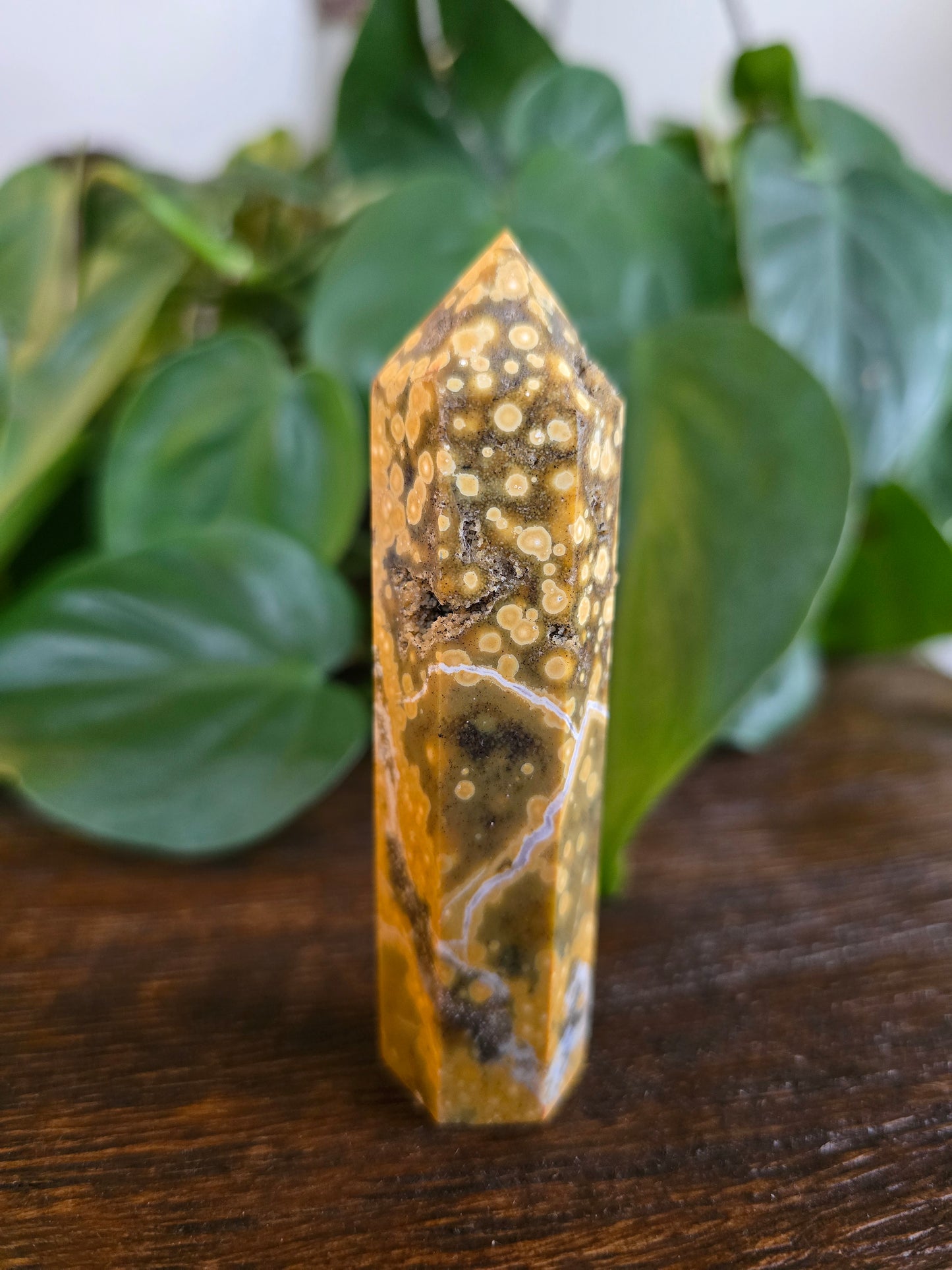 Ocean Jasper Tower "E"