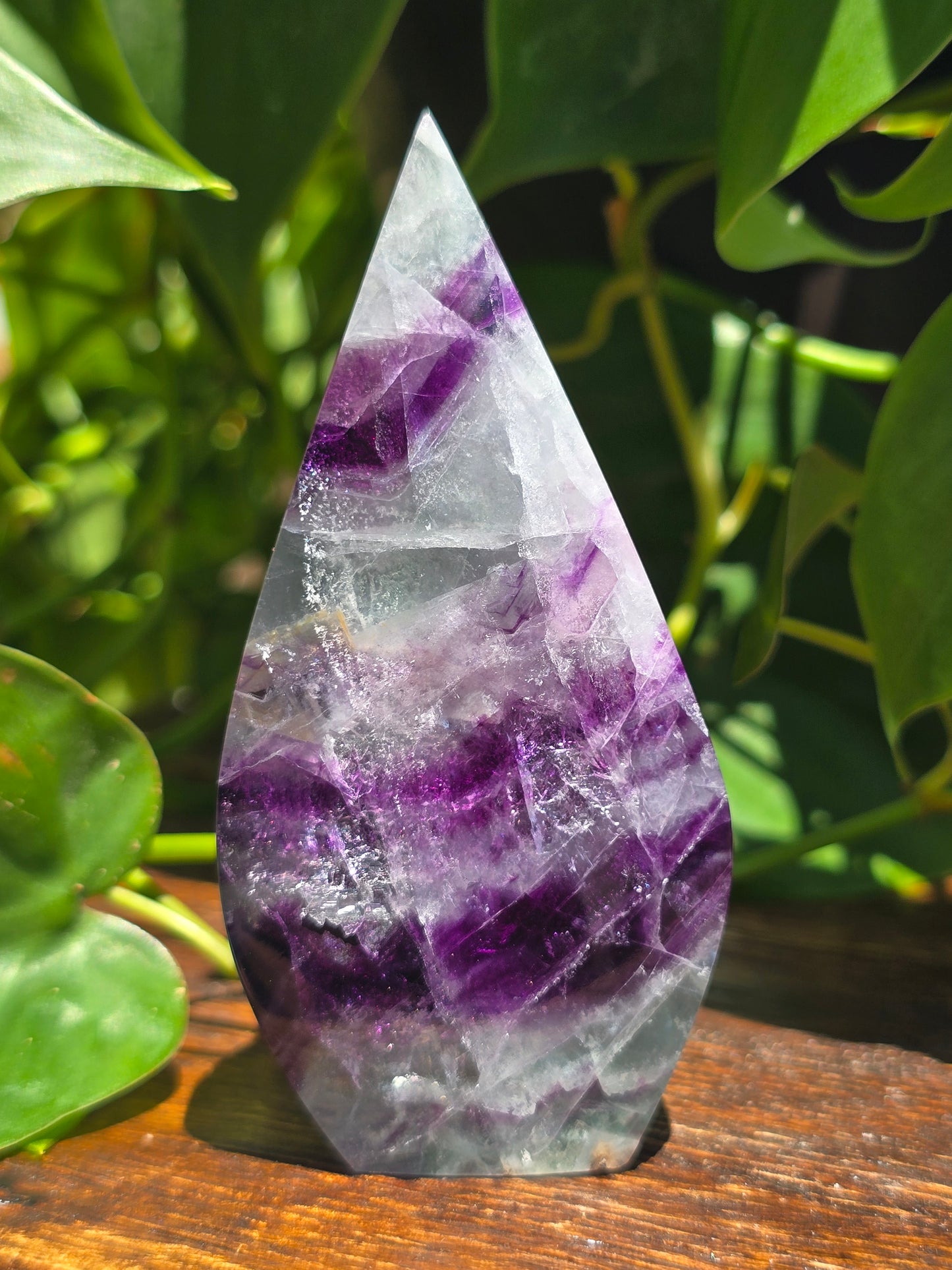 Rainbow Fluorite Flipper "C"