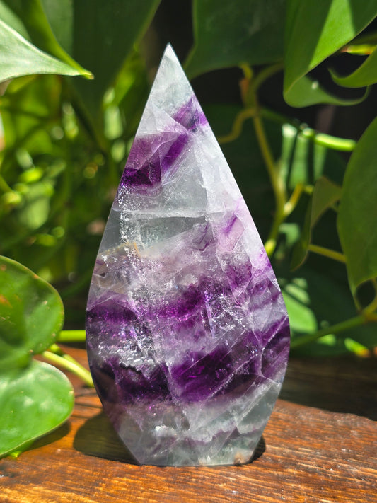Rainbow Fluorite Flipper "C"