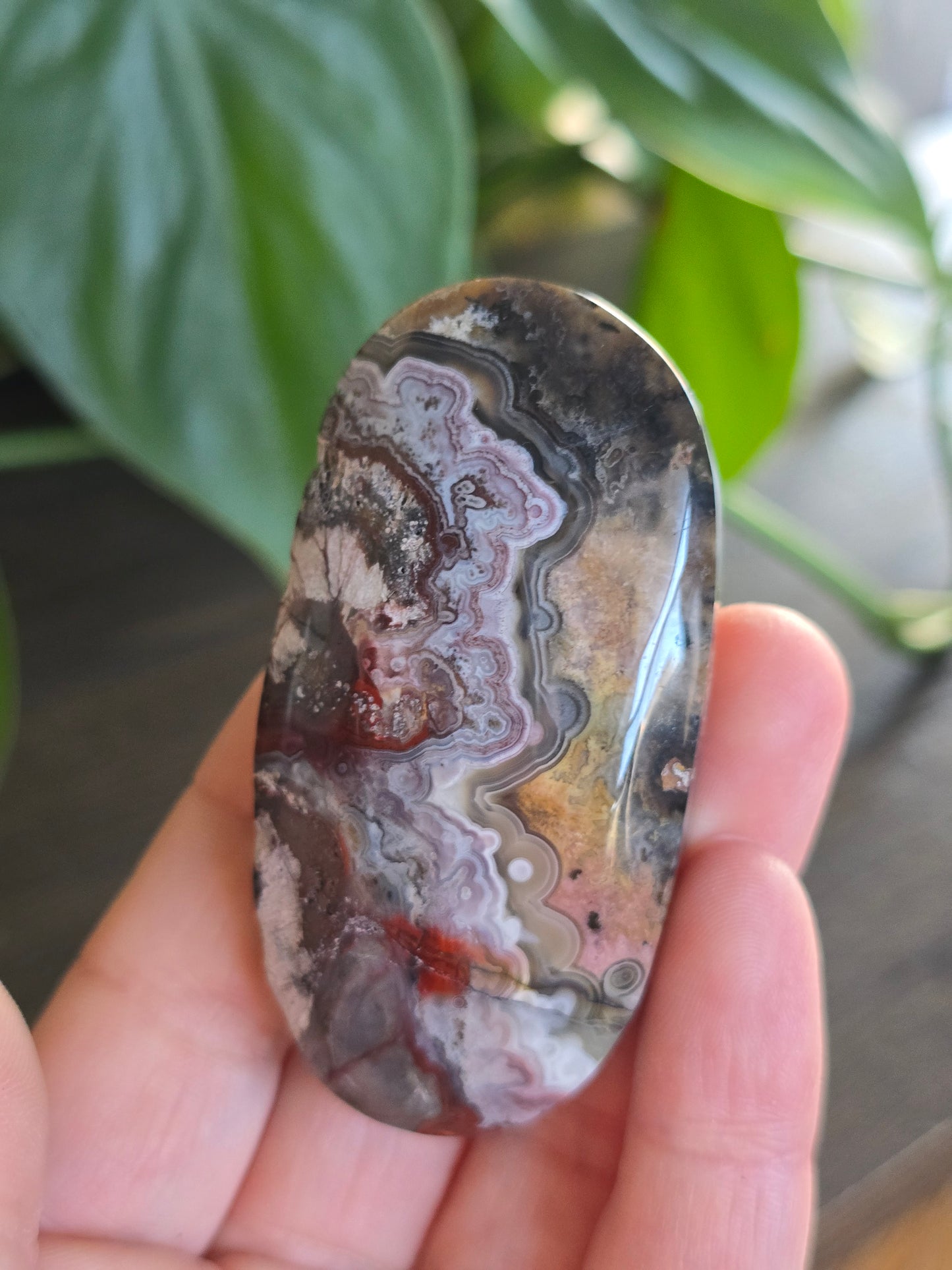Red Mexican Crazy Lace Agate Palm Stone