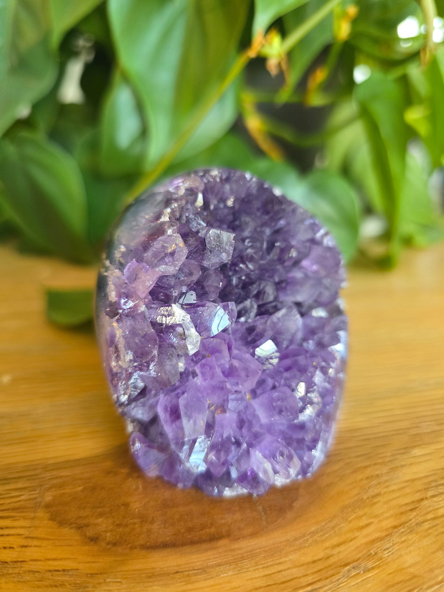 Druzy Amethyst Cluster