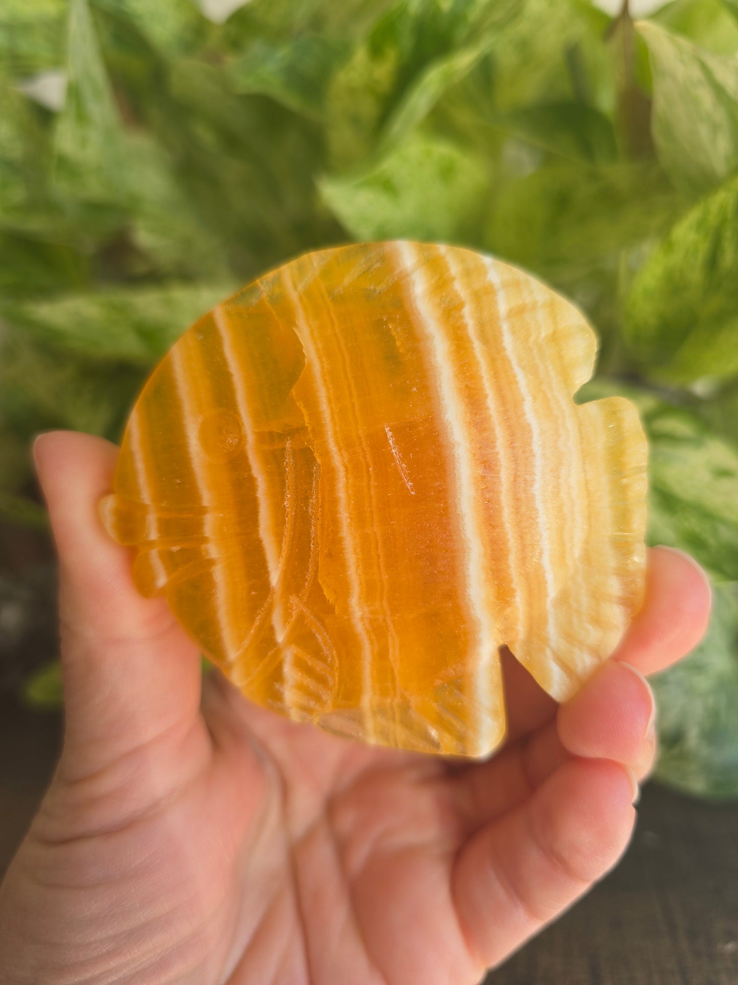 Orange Calcite Fish