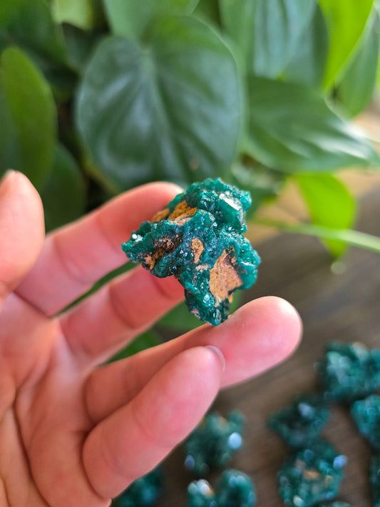 Dioptase Rough Specimen - Congo (31)