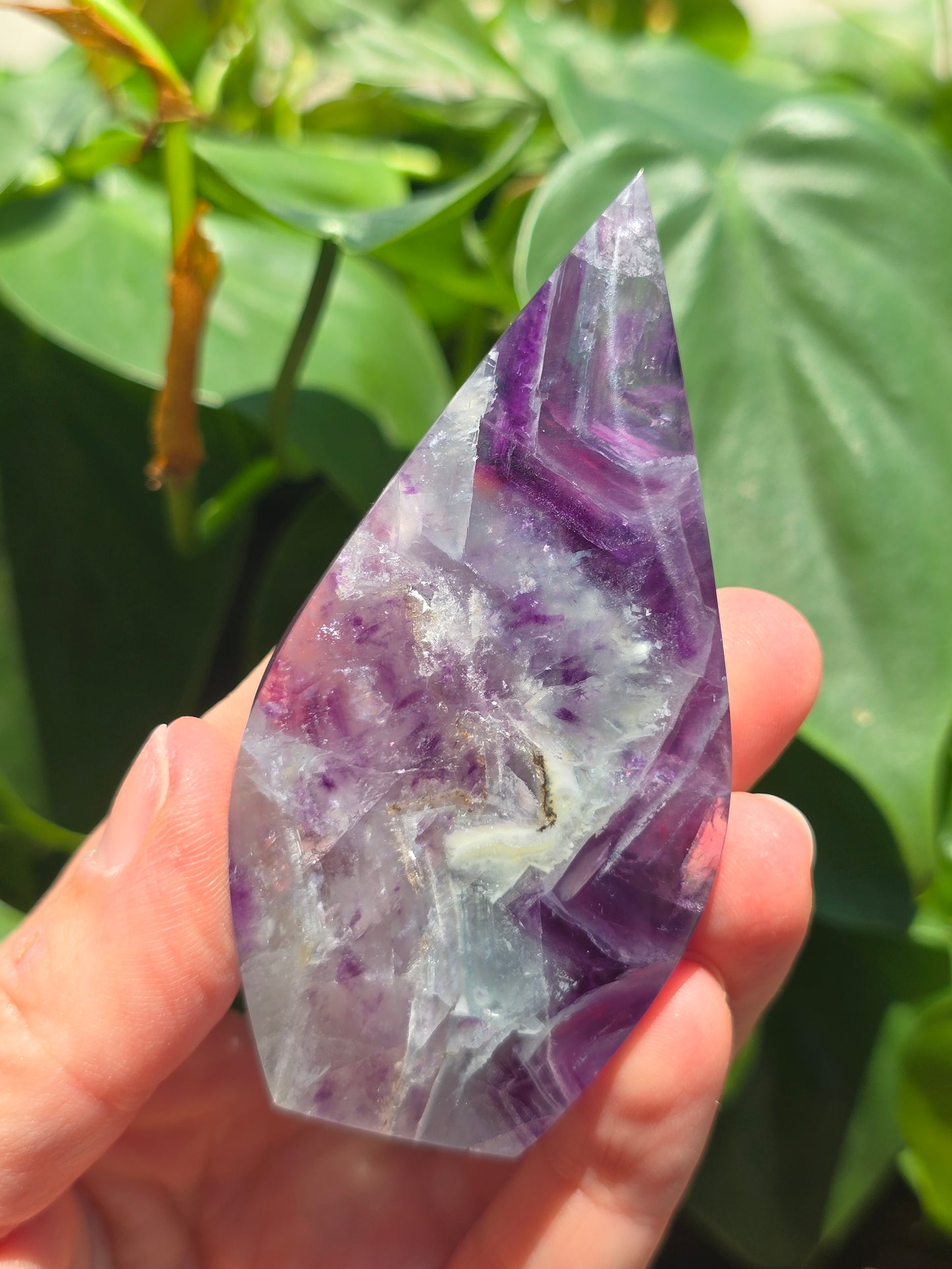 Rainbow Fluorite Flipper "D"
