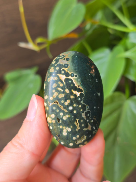 8th Vein Ocean Jasper Palm Stone