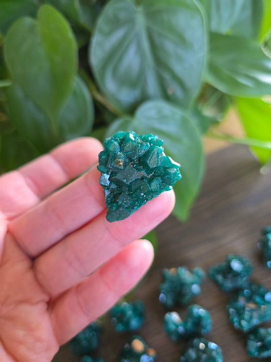 Dioptase Rough Specimen - Congo (27)