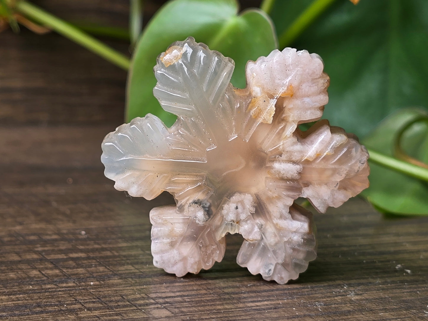 Flower Agate Snowflake