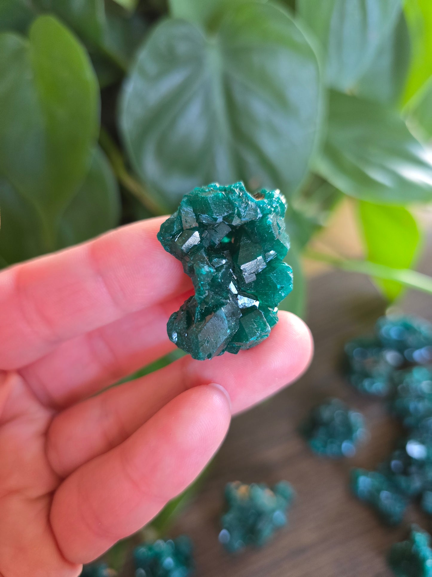 Dioptase Rough Specimen - Congo (15)
