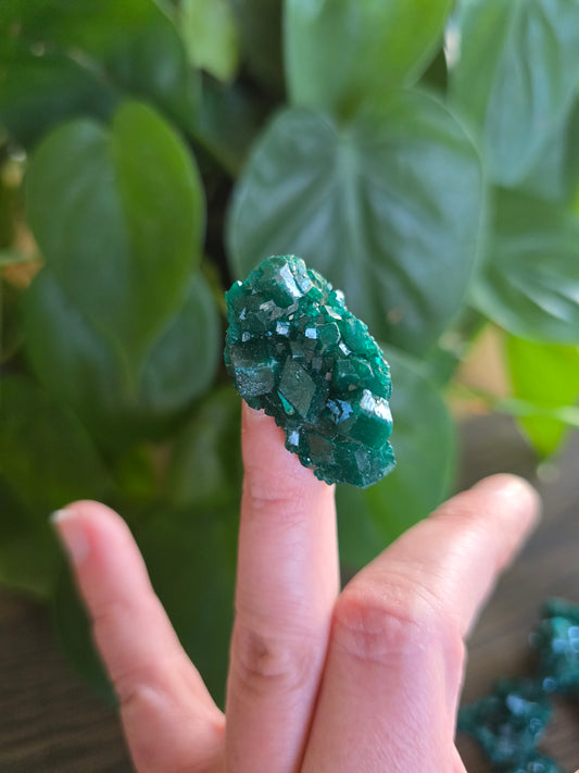 Dioptase Rough Specimen - Congo (35)