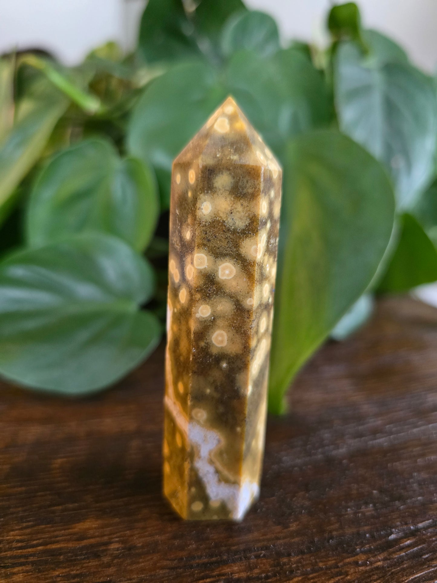 Ocean Jasper Tower "D"