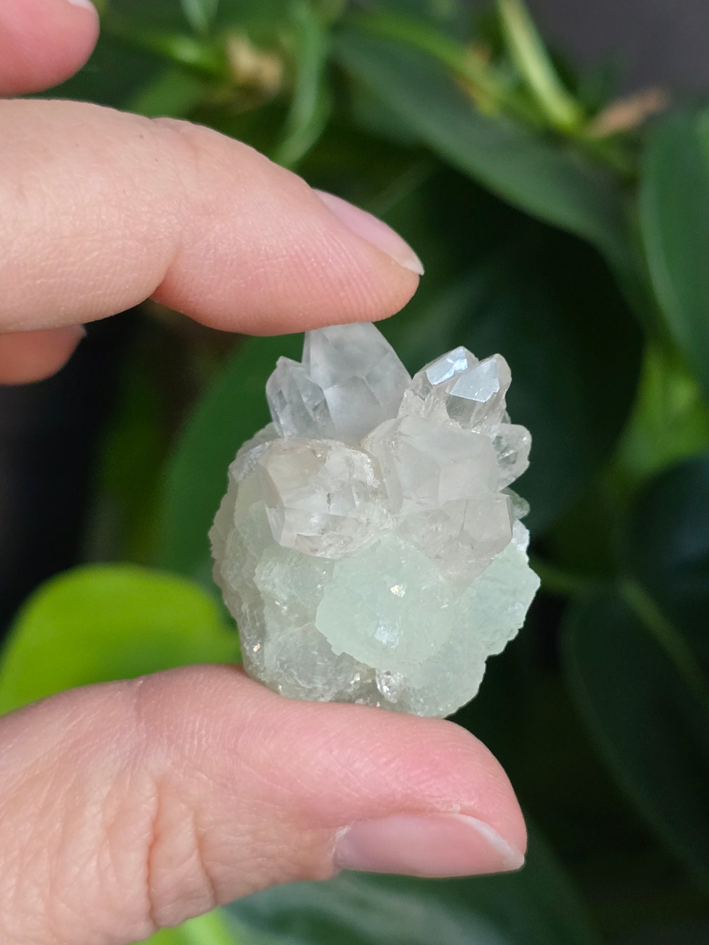 Prehnite and Epidote on Quartz Matrix