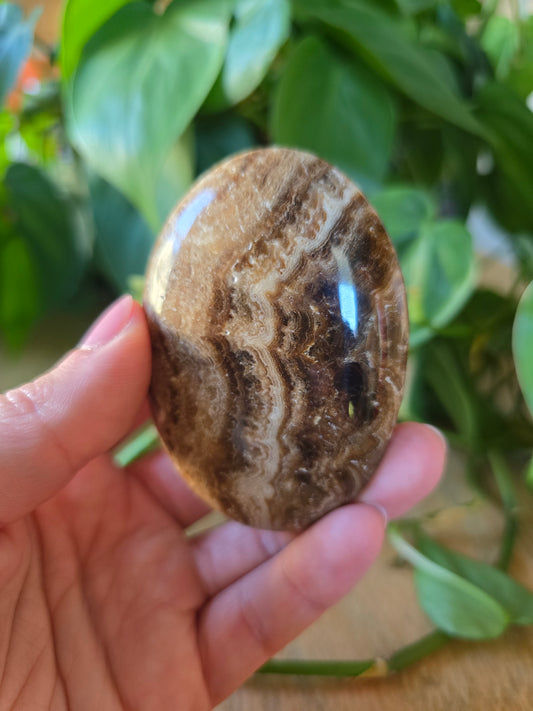 Chocolate Calcite Palm Stone