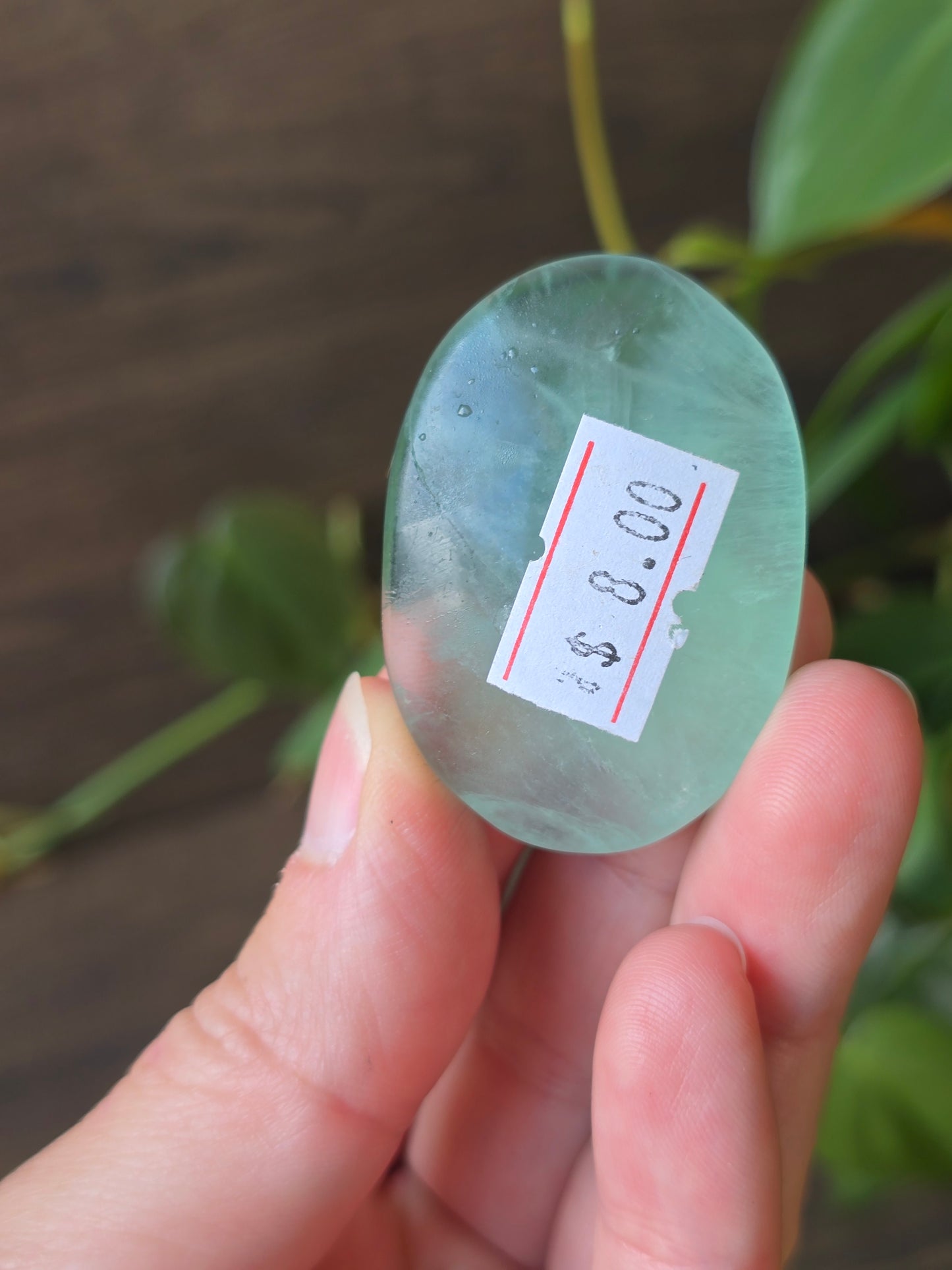 Fluorite Palm Stone