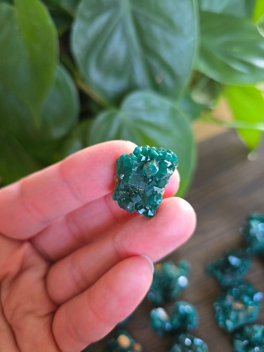 Dioptase Rough Specimen - Congo (33)