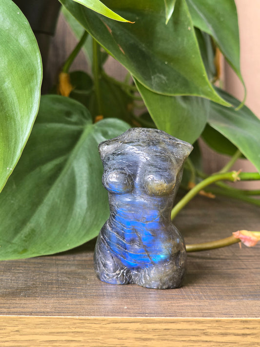 Labradorite Female Torso High Flash