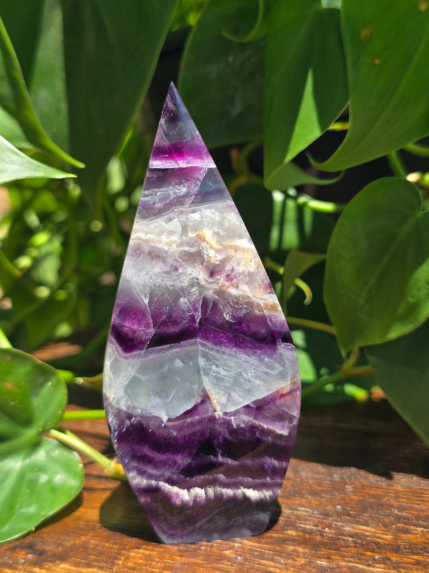 Rainbow Fluorite Flipper "E"