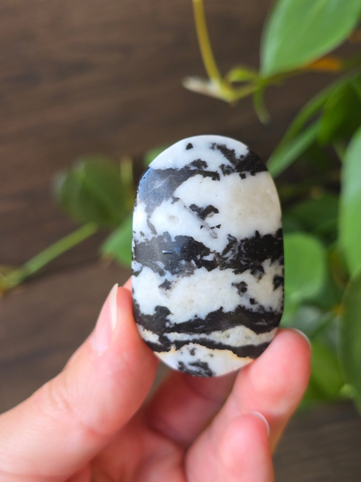 Zebra Jasper Palm Stone
