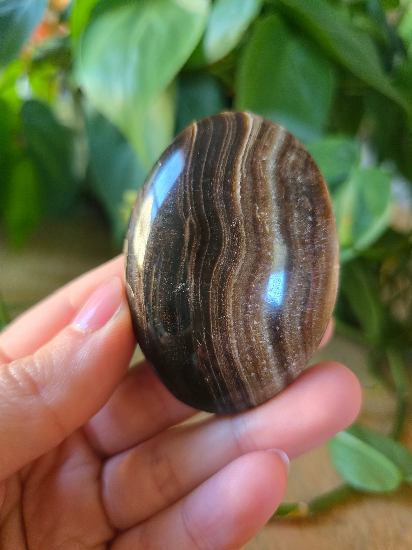 Chocolate Calcite Palm Stone