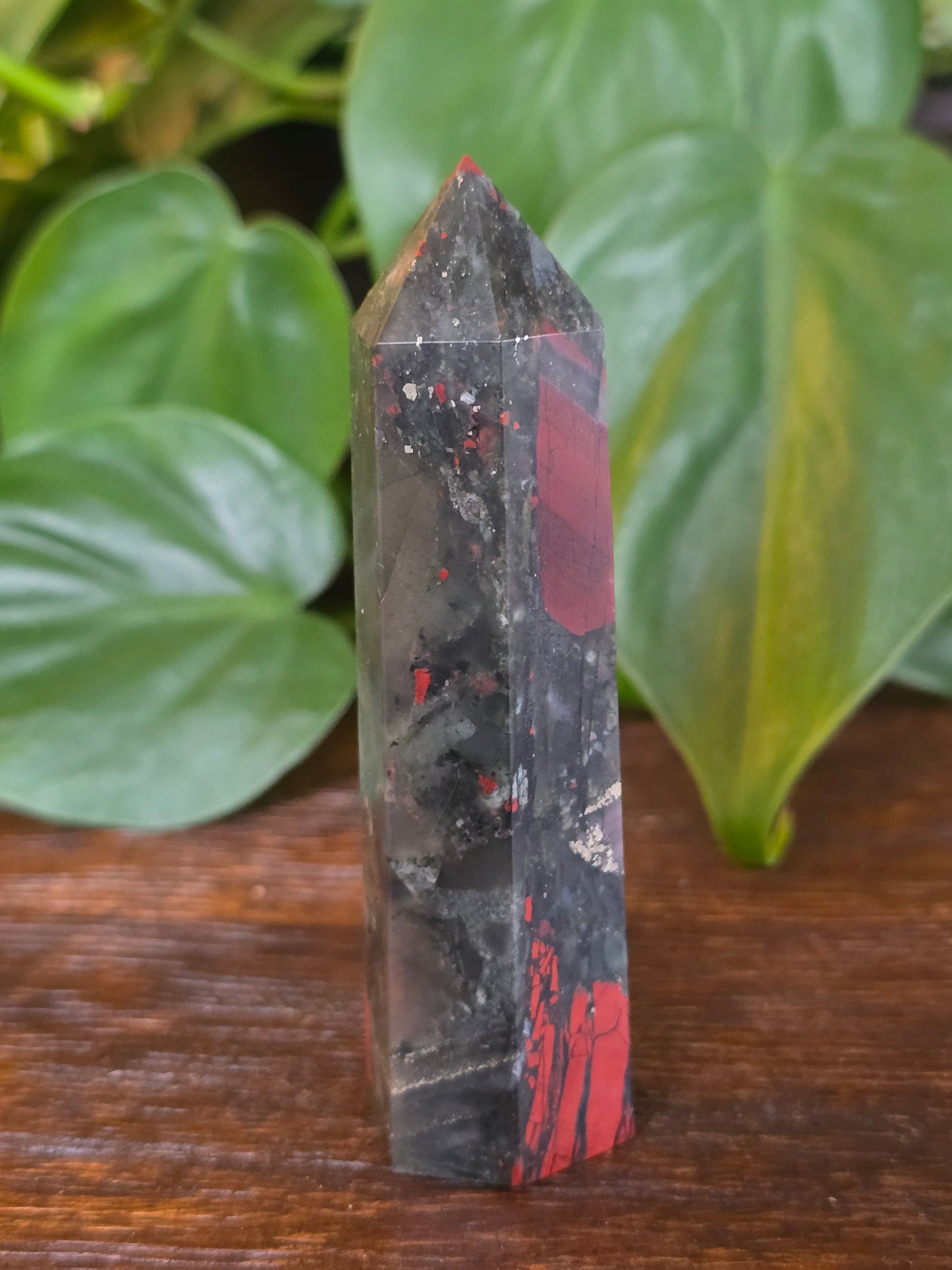 African Bloodstone Point "J"