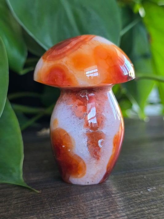 Carnelian Mushroom Carving