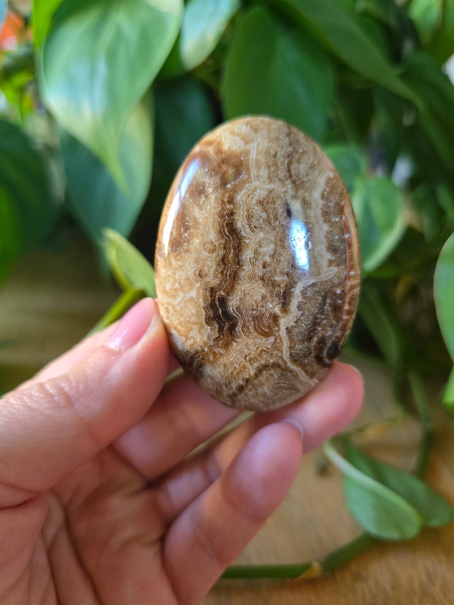 Chocolate Calcite Palm Stone